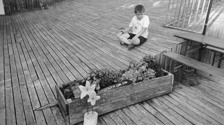 Topart Piknik terasz